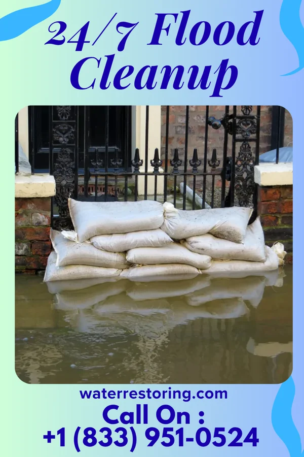 24/7 Flood Cleanup in Aurelia, IA