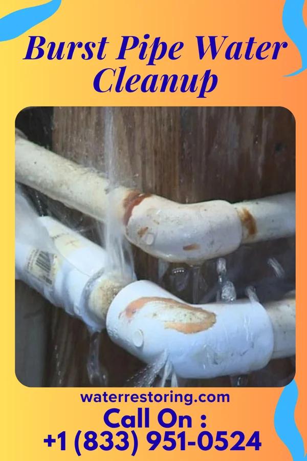 Burst Pipe Water Cleanup in Aurelia, IA