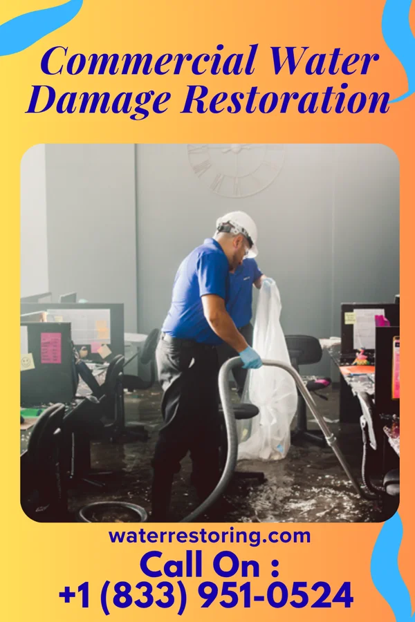 Commercial Water Damage Restoration in Aurelia, IA