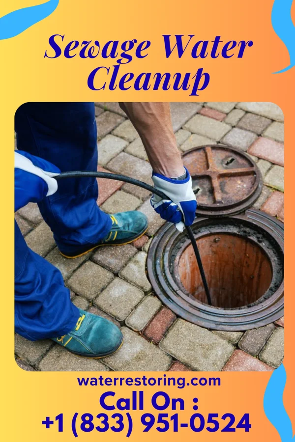 Sewage Water Cleanup in Aurelia, IA